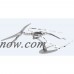 Metal Earth 3D Laser-Cut Model, Pteranodon   557188708